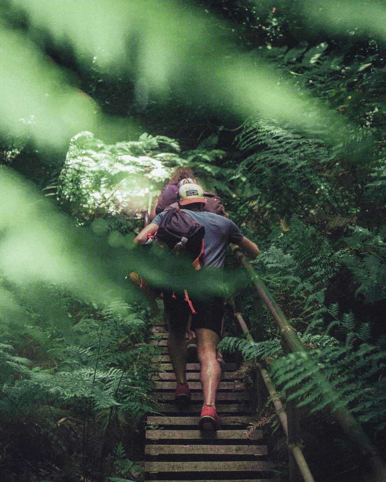 Hikers crossing wooden bridge in jungle