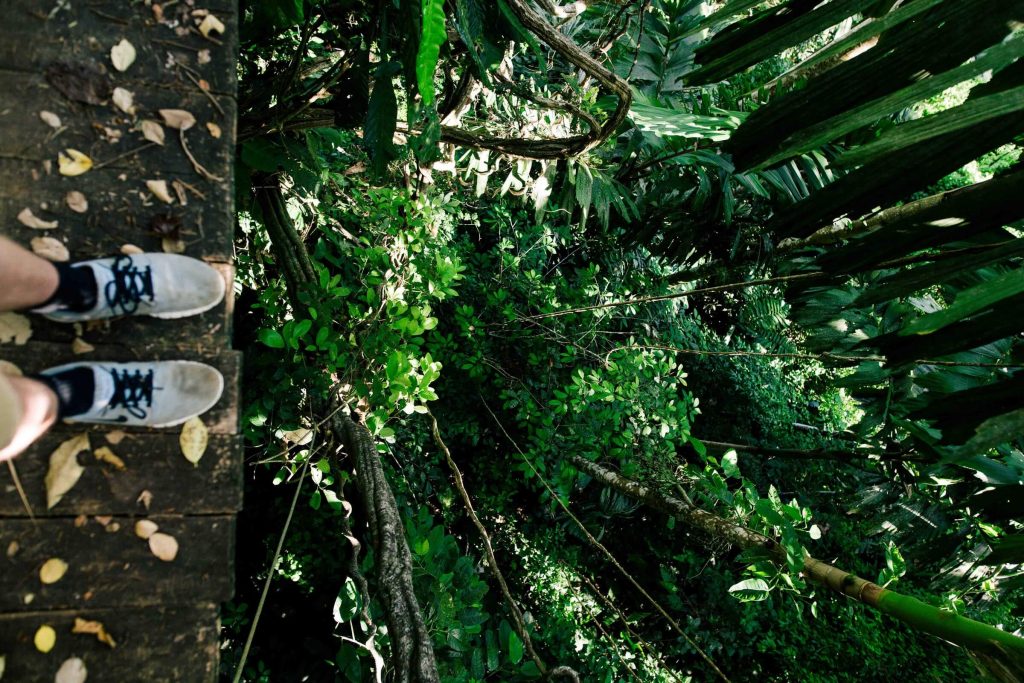 Feet standing on a boardwalk over lush, green jungle view