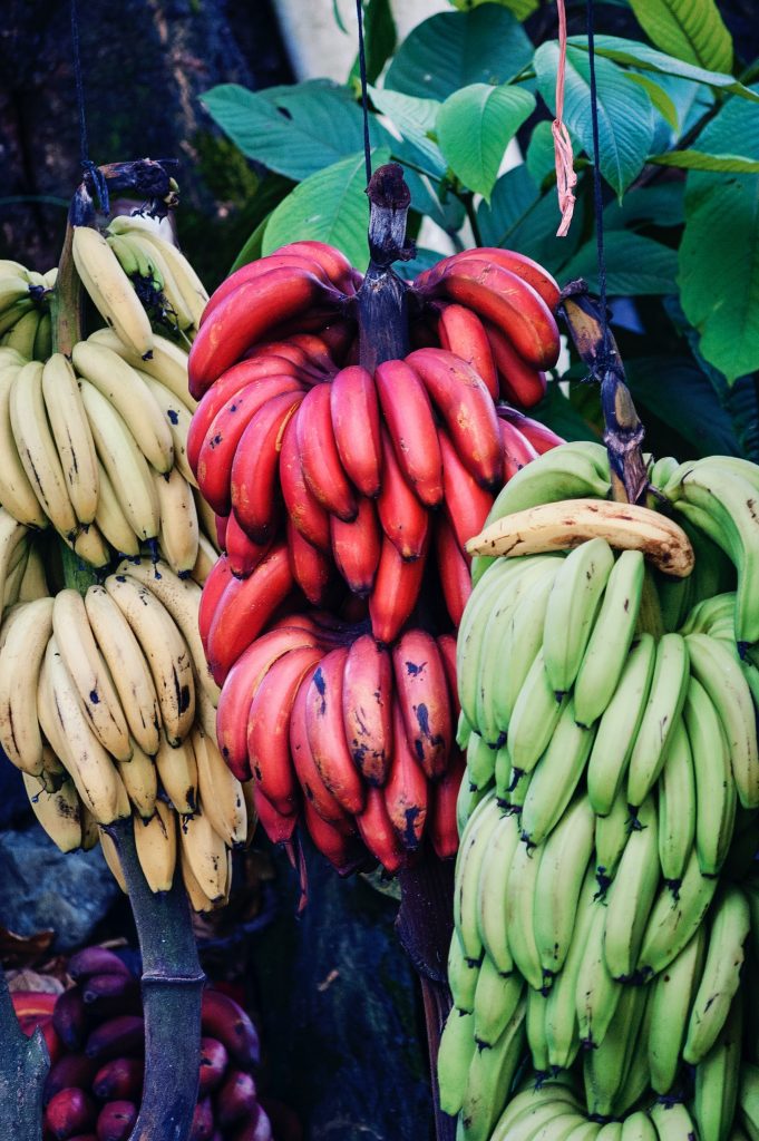 tropical Banana looking fruits