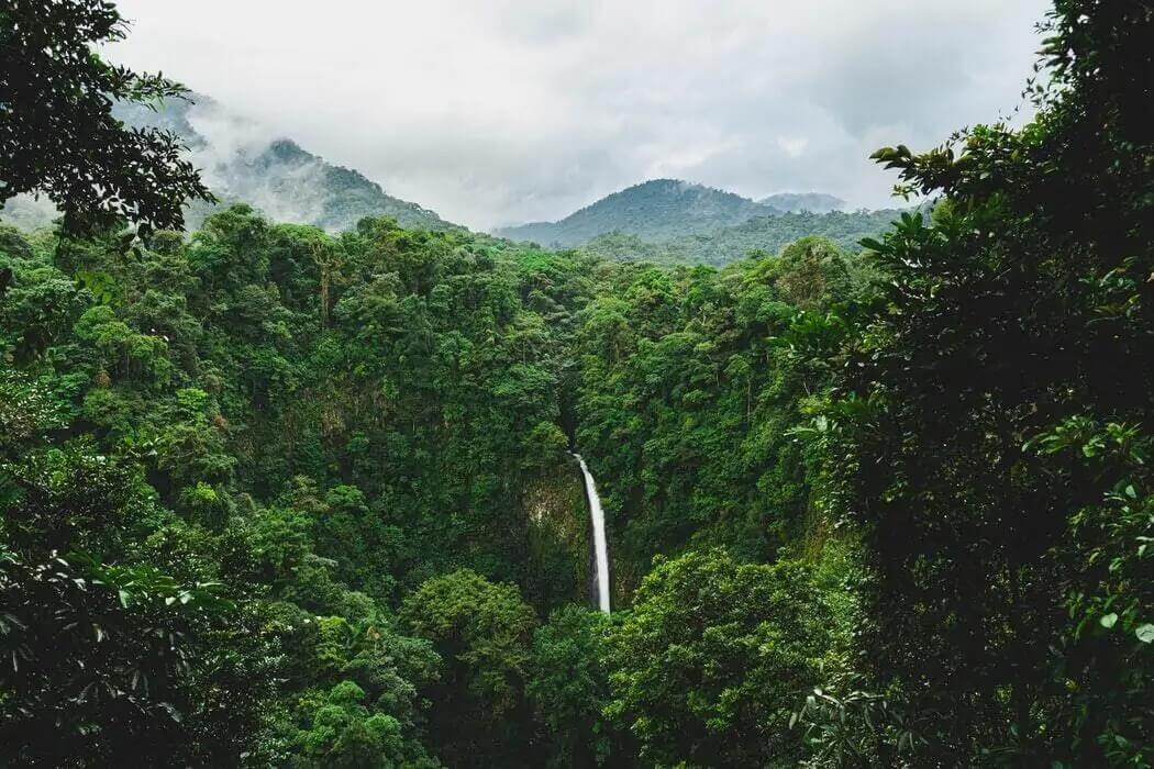  la Fortuna waterfall set in a dense jungle in Alajuela Costa Rica