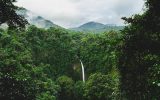 Why Costa Rica Is an Ecotourism Destination