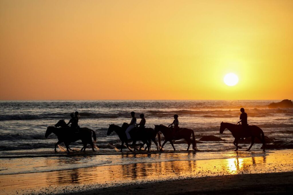 A family horseback riding along a beach in Santa Teresa, Costa Rica, at sunset