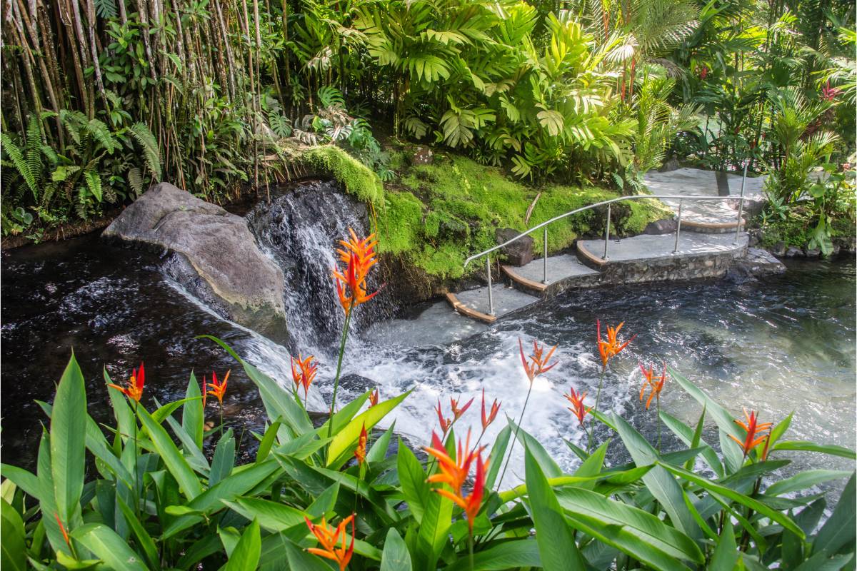 Tabacon Hot Springs surrounded by lush greenery and bright orange flowers