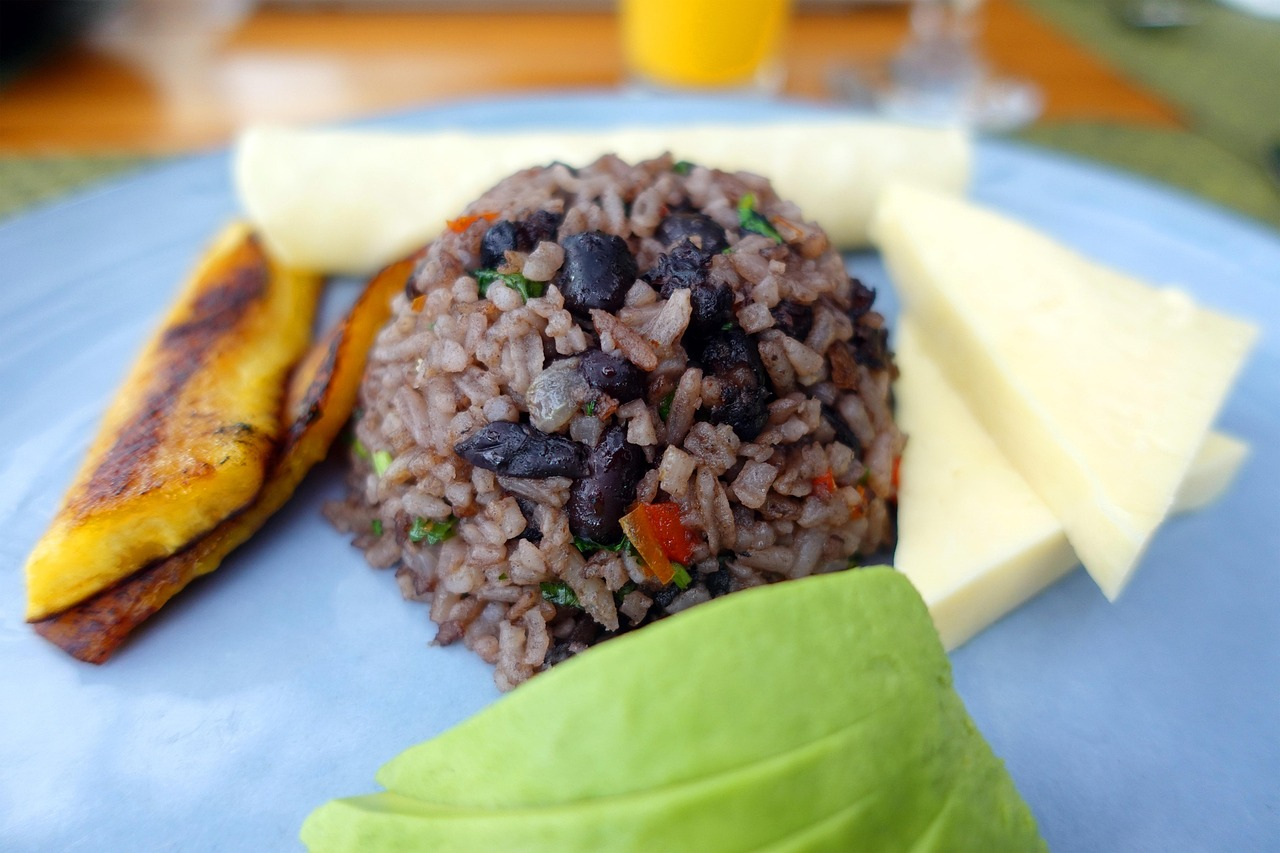 A plate of gallo pinto, avocado, cheese or jicama, and a fried plantain
