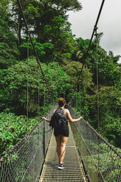 A hiker on a suspended bridge looking over a rainforest