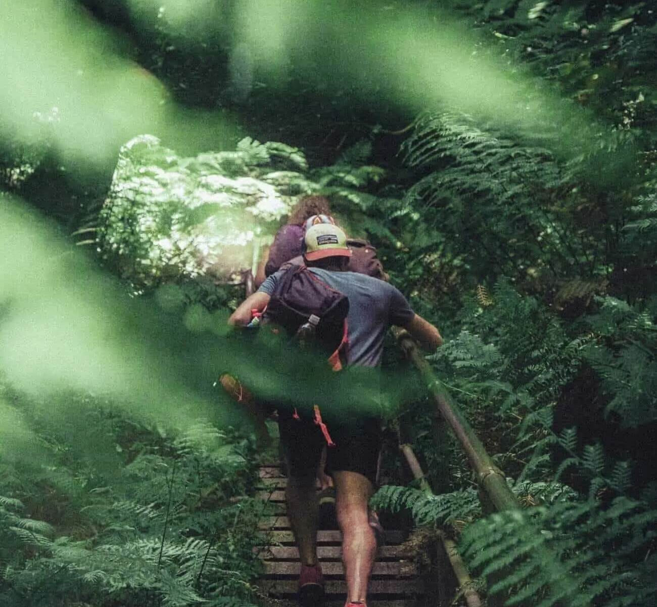 people hiking in costa rica